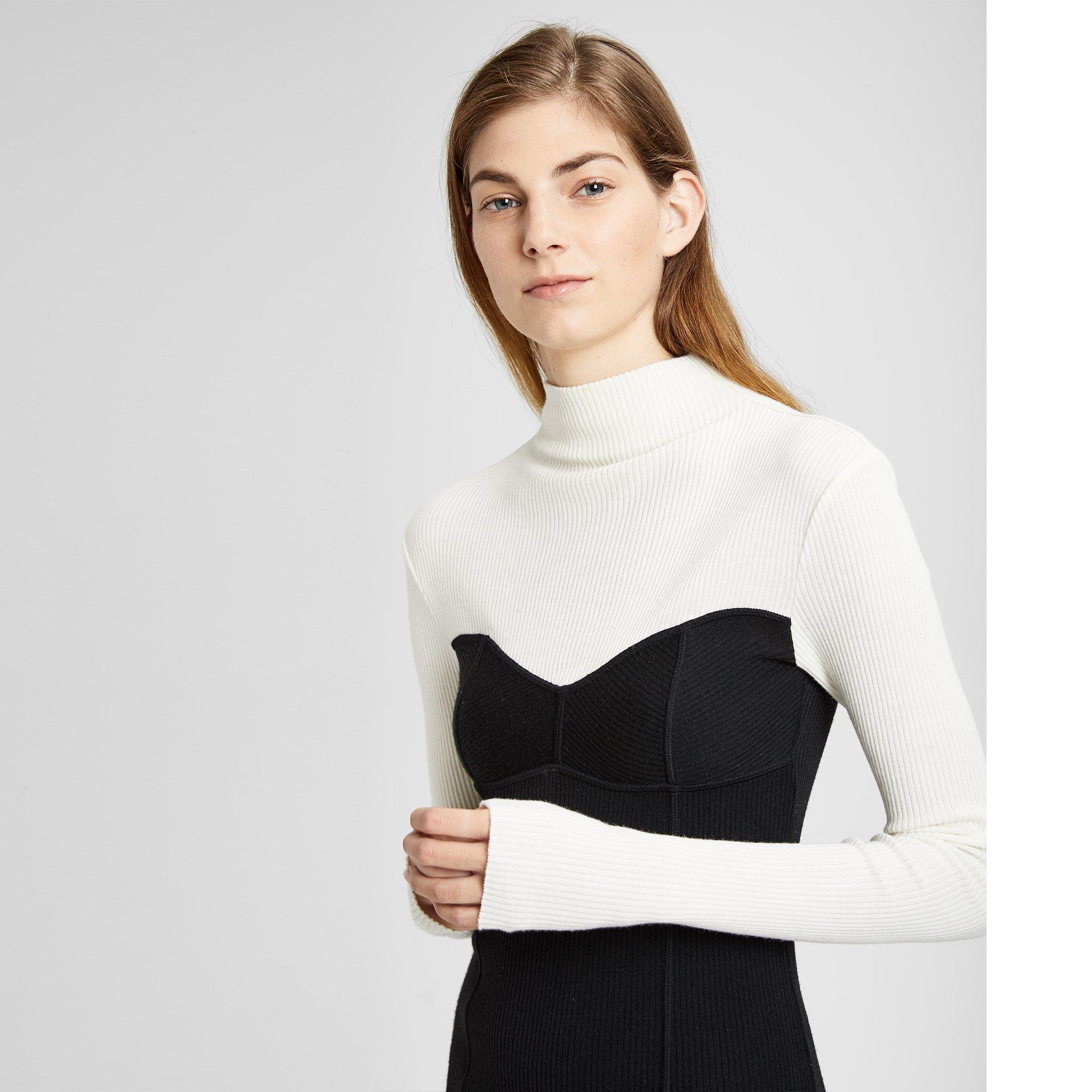 Ribbed Bustier Seam Dress