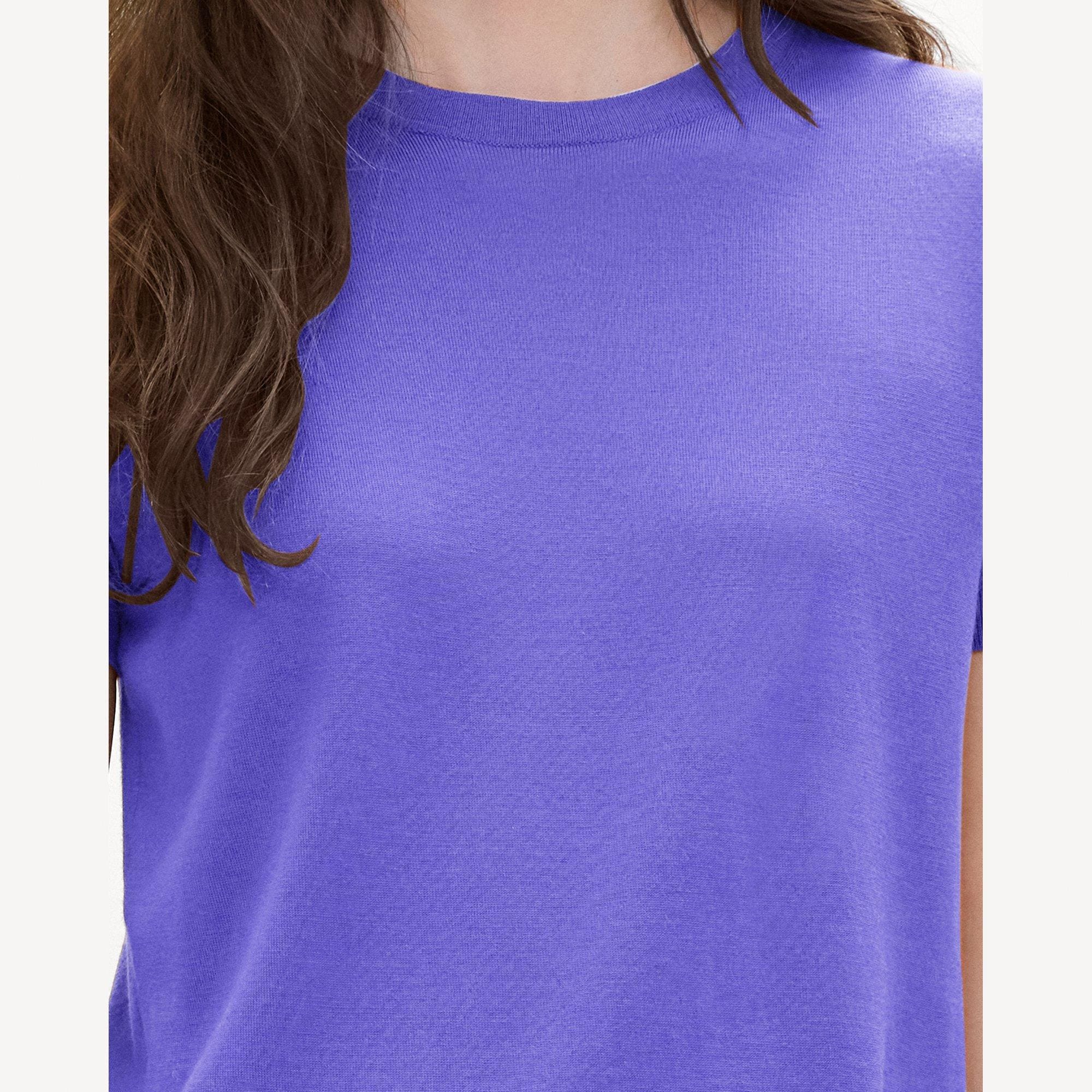 Sweater Tee in Regal Wool