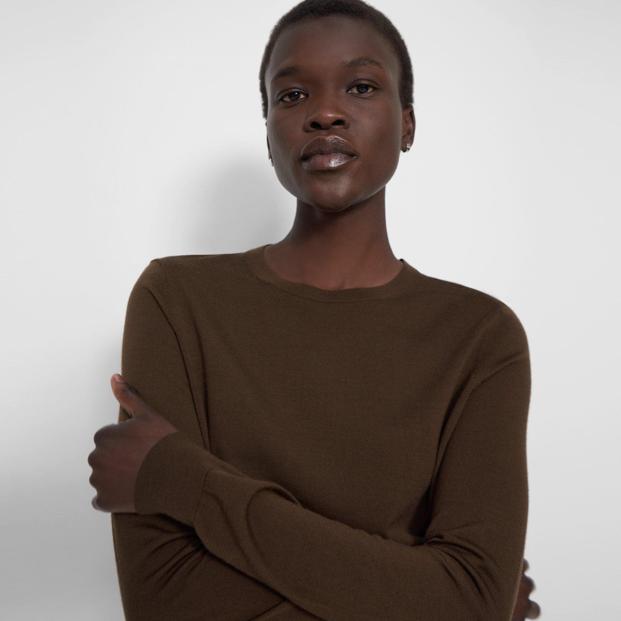 Crewneck Sweater in Regal Wool
