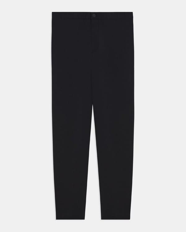 Terrance Jogger Pant in Neoteric