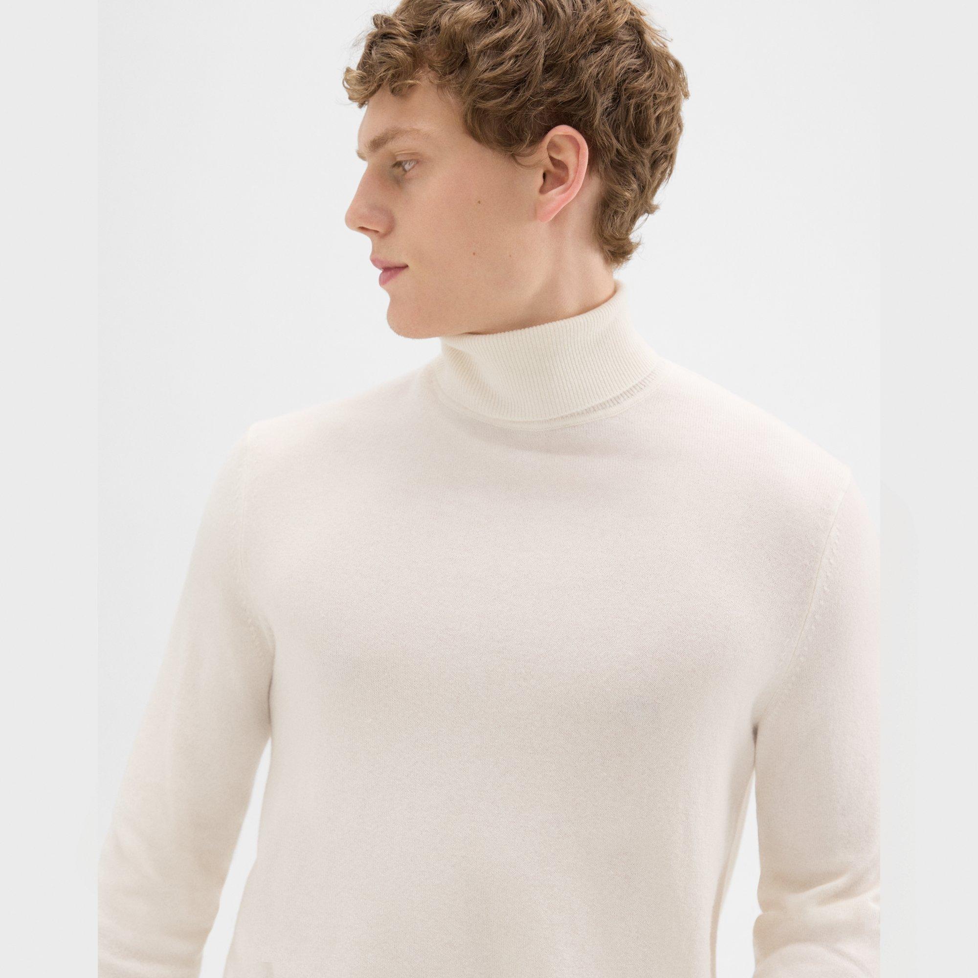 Hilles Turtleneck Sweater in Cashmere