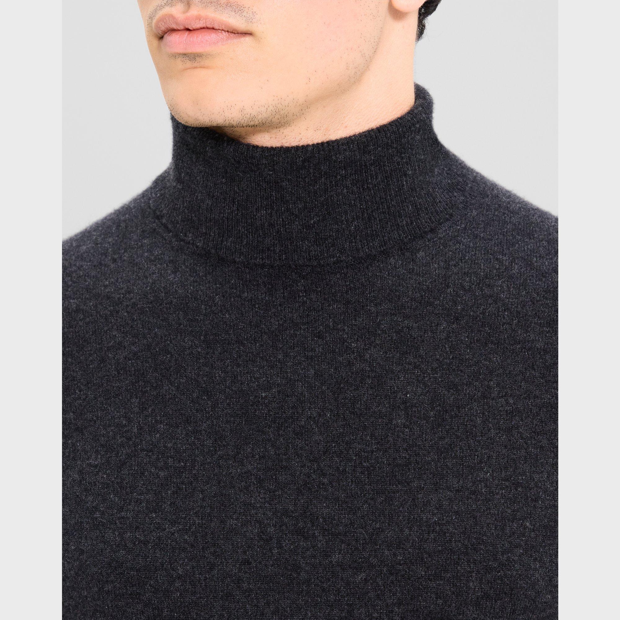 Hilles Turtleneck Sweater in Cashmere