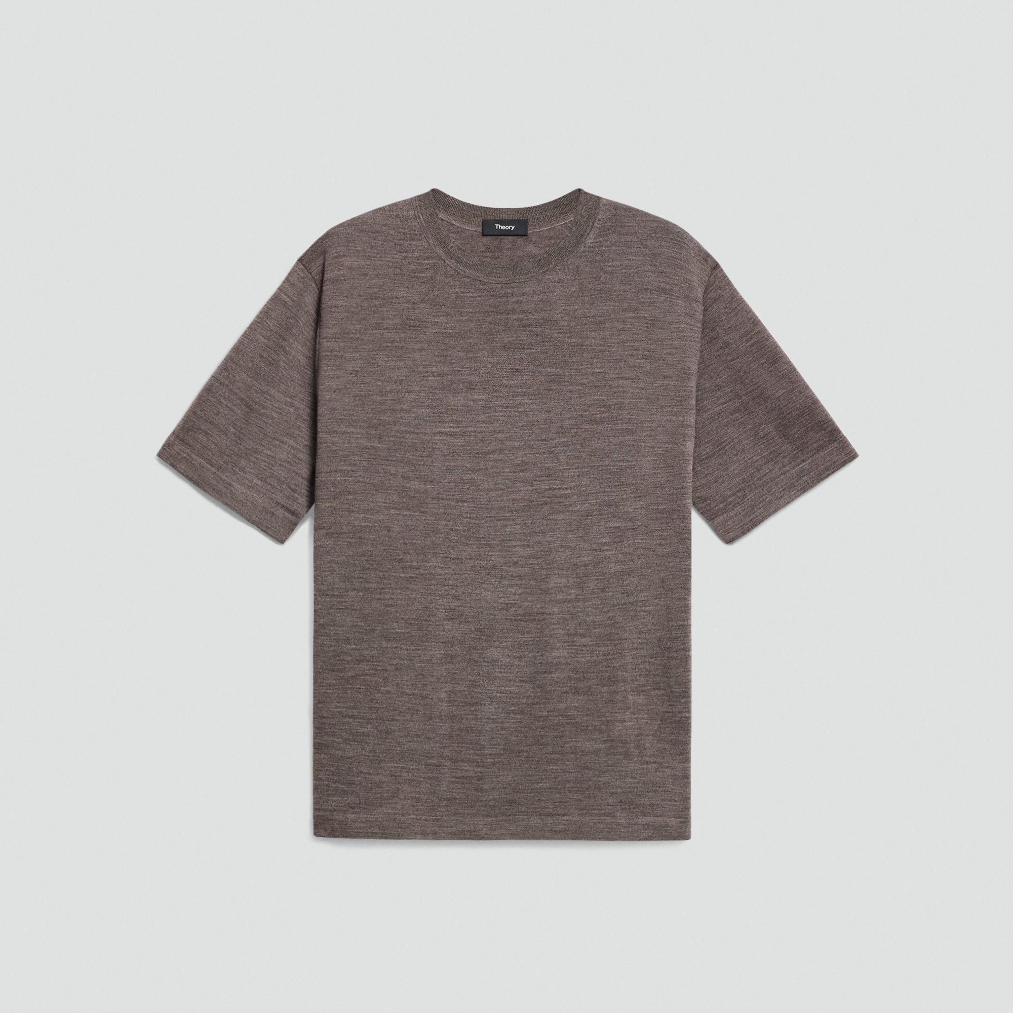 Relaxed Sweater Tee in Regal Wool