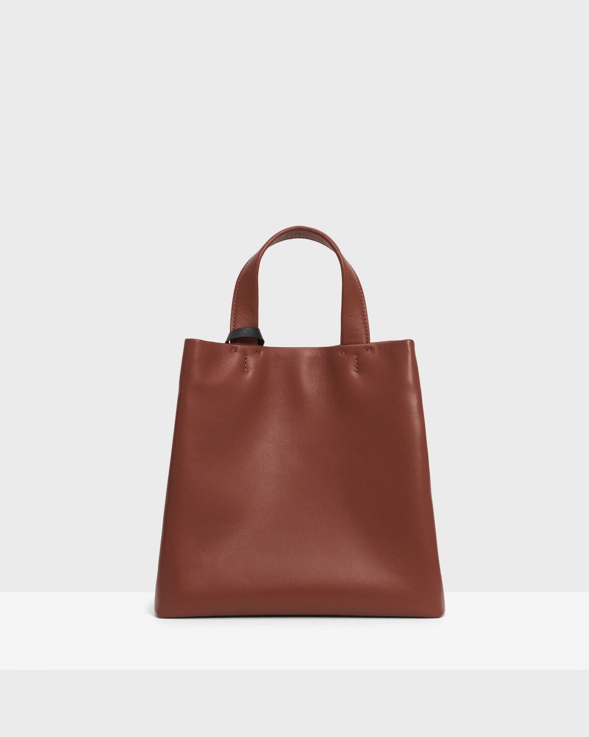 띠어리 토트백 Theory Small Tote Bag in Leather,SEDONA